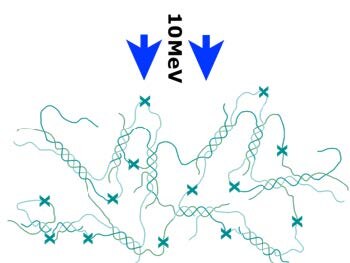 Verwobene Fäden, die mit einigen Xen verbunden sind. Zwei nach unten zeigende blaue Pfeile mit der Beschriftung "10MeV"