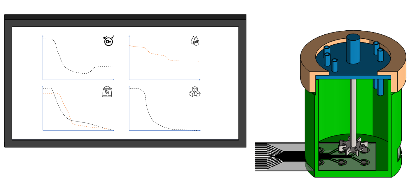 Schematischer Aufbau des PriMuS-Bioreactors mit 3D-gedrucktem Reaktor, inklusive modularer Dickschichtsensorplattform und optisch transparentem Fenster. Zusätzlich eine Einheit zur Online-Messwerterfassung, -verarbeitung und -darstellung zur Prozesssteuer